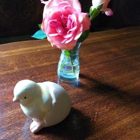 Auberge 'S Gravenhof ฟูเริน ภายนอก รูปภาพ